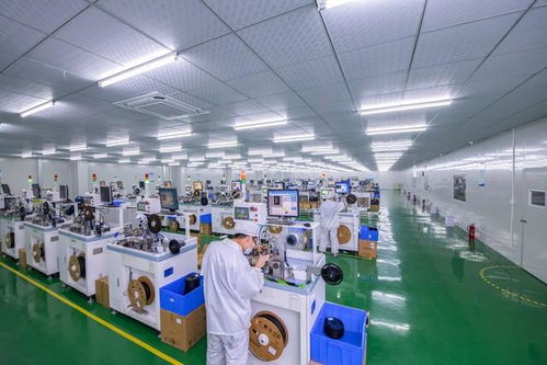 17歲助親創業，年入300萬的輝煌背后 我被辭退的電子產品工廠故事